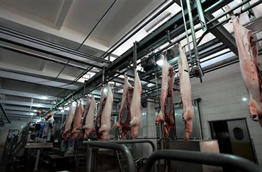 2.20℃屠宰加工車間-同步檢驗(yàn)線